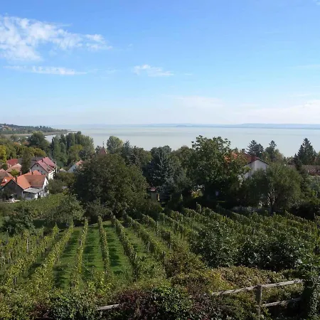 Apartment Badacsonytomaj/balaton 20245