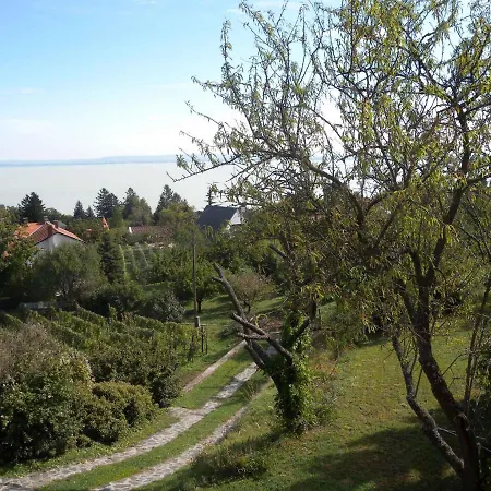 Apartment Badacsonytomaj/balaton 20245 Badacsonytomaj